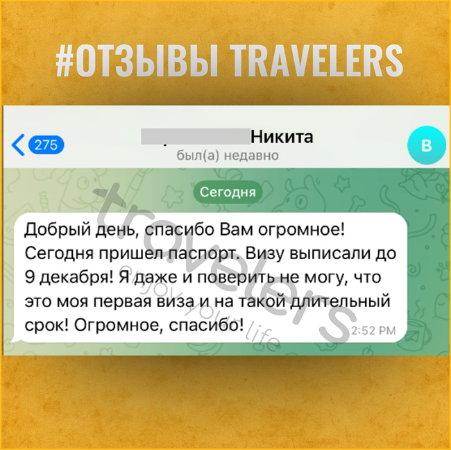 Отзыв Никиты о полученной визе с благодарностью